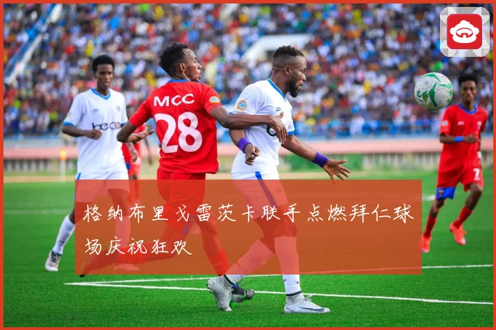 格纳布里戈雷茨卡联手点燃拜仁球场庆祝狂欢