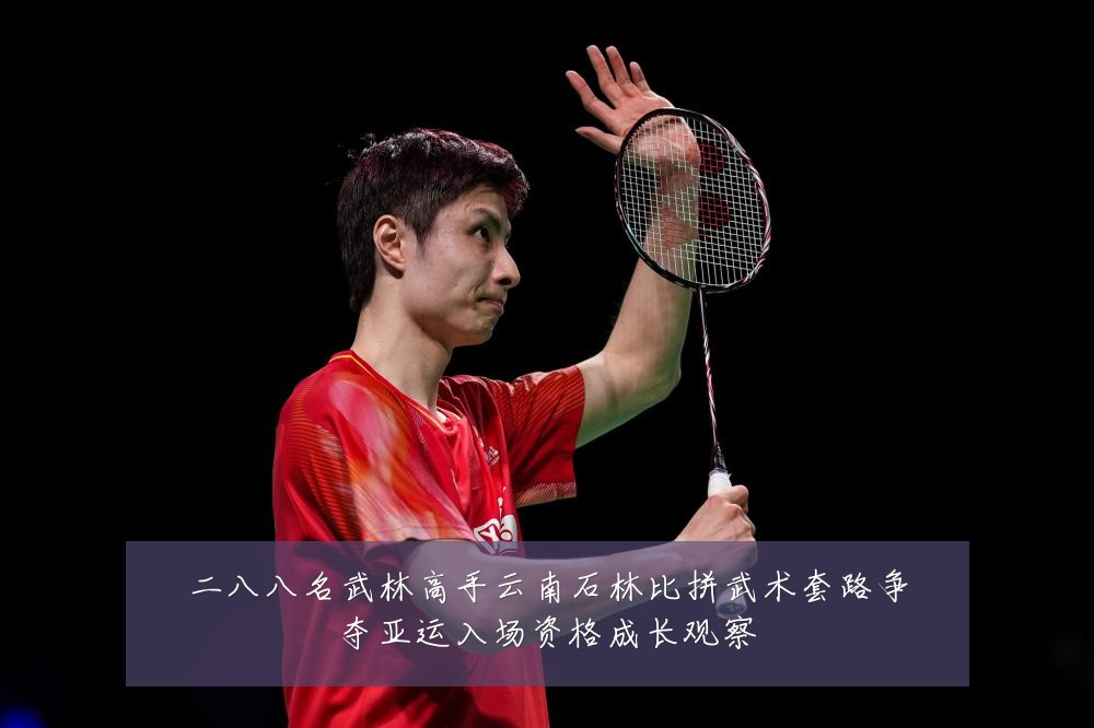 二八八名武林高手云南石林比拼武术套路争夺亚运入场资格成长观察