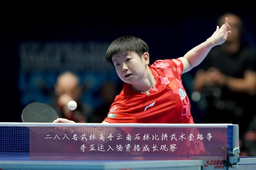 二八八名武林高手云南石林比拼武术套路争夺亚运入场资格成长观察